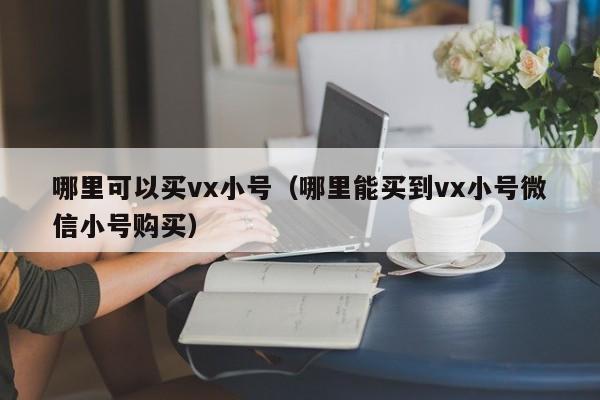哪里可以买vx小号（哪里能买到vx小号微信小号购买）