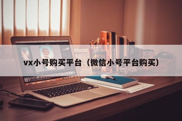 vx小号购买平台（微信小号平台购买）
