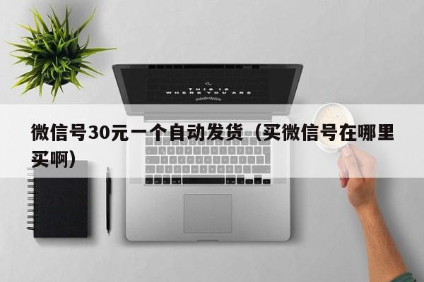 微信号30元一个自动发货（买微信号在哪里买啊）