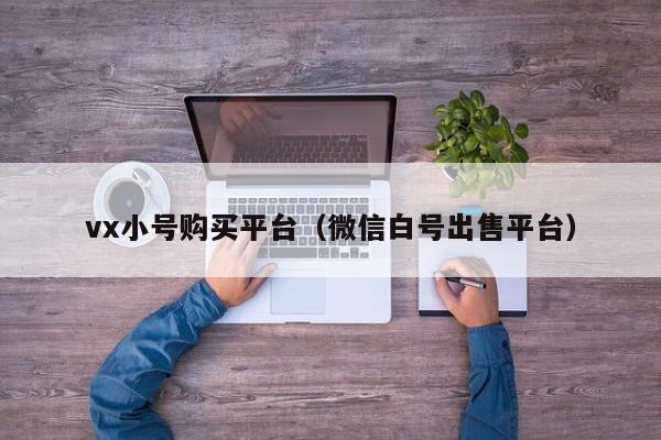 vx小号购买平台（微信白号出售平台）