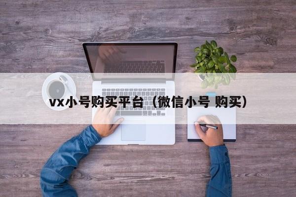vx小号购买平台（微信小号 购买）
