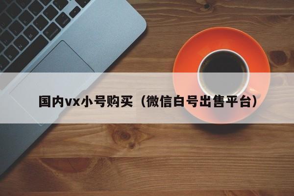 国内vx小号购买（微信白号出售平台）
