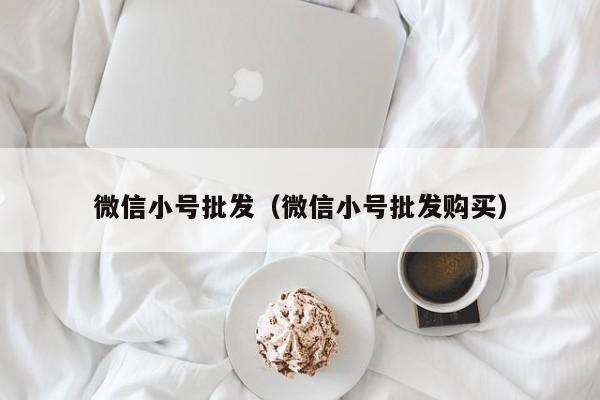 微信小号批发（微信小号批发购买）
