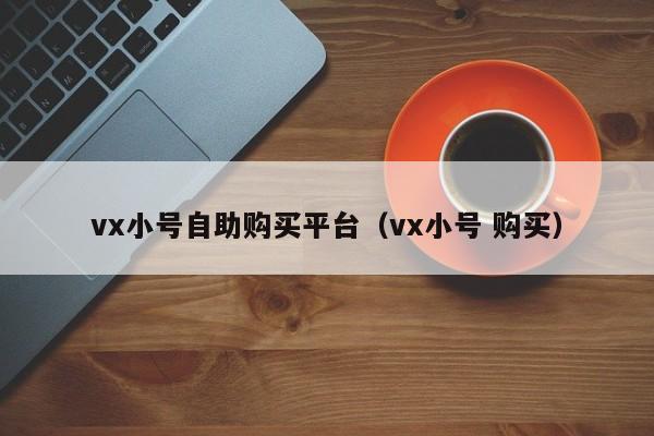 vx小号自助购买平台（vx小号 购买）