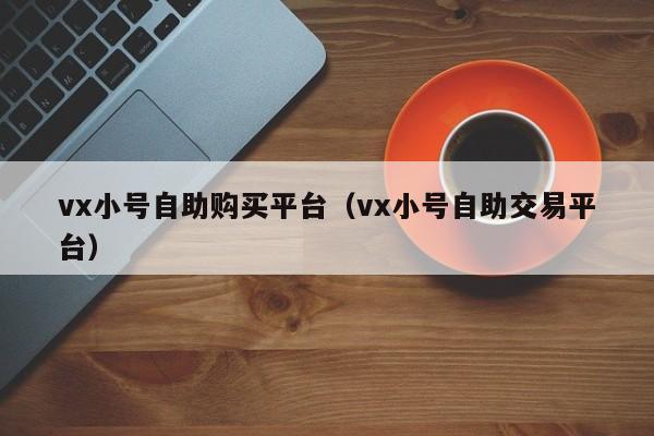 vx小号自助购买平台（vx小号自助交易平台）