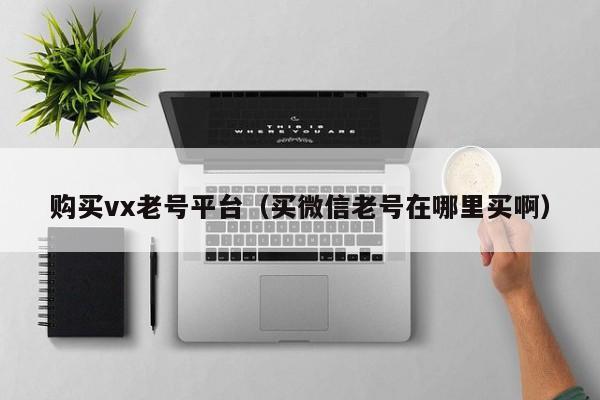 购买vx老号平台（买微信老号在哪里买啊）