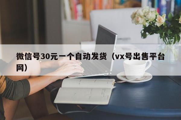 微信号30元一个自动发货（vx号出售平台网）