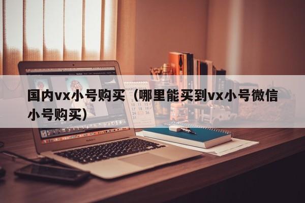 国内vx小号购买（哪里能买到vx小号微信小号购买）