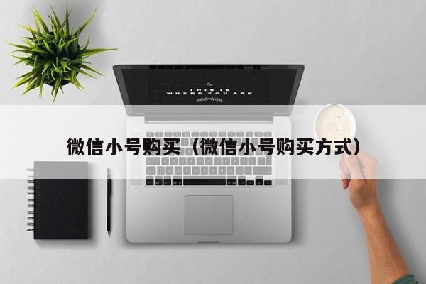 微信小号购买（微信小号购买方式）