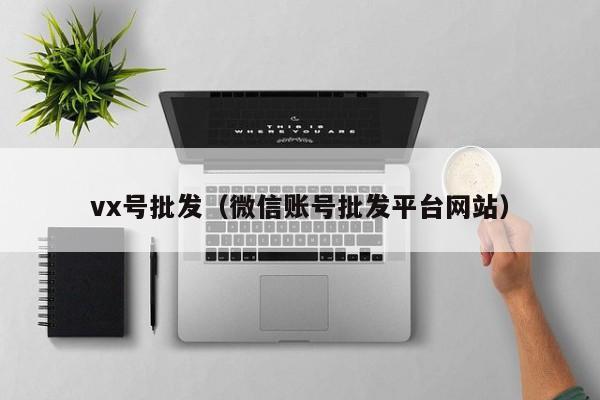 vx号批发（微信账号批发平台网站）