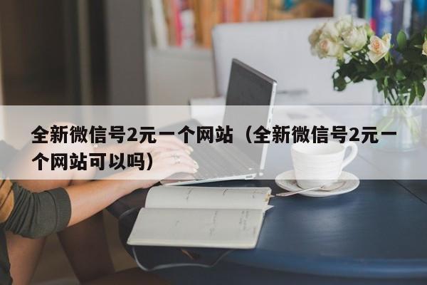 全新微信号2元一个网站（全新微信号2元一个网站可以吗）