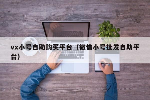vx小号自助购买平台（微信小号批发自助平台）