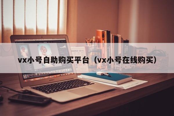 vx小号自助购买平台（vx小号在线购买）