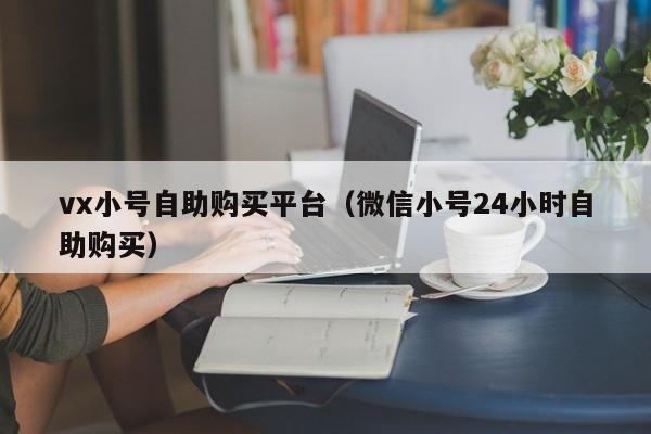 vx小号自助购买平台（微信小号24小时自助购买）