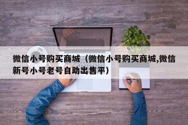 微信小号购买商城（微信小号购买商城,微信新号小号老号自助出售平）