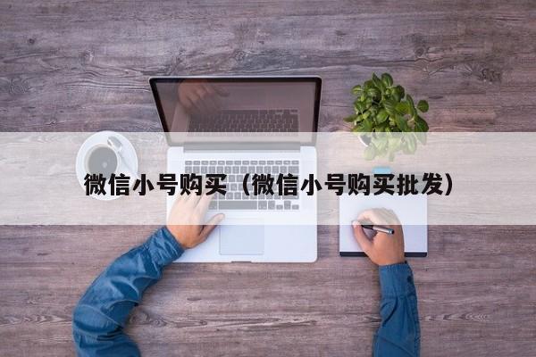 微信小号购买（微信小号购买批发）