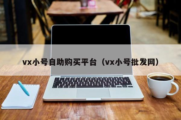vx小号自助购买平台（vx小号批发网）