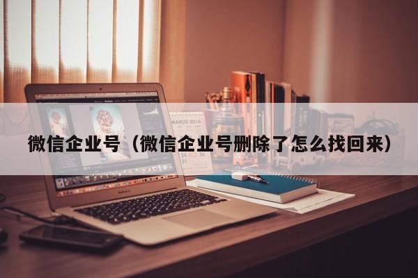 微信企业号（微信企业号删除了怎么找回来）