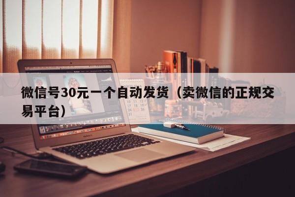 微信号30元一个自动发货（卖微信的正规交易平台）