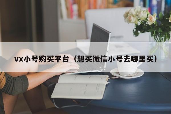 vx小号购买平台（想买微信小号去哪里买）