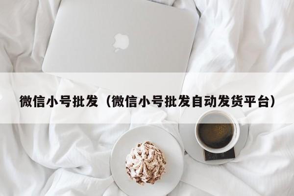 微信小号批发（微信小号批发自动发货平台）